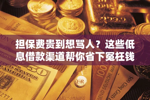 济南担保费贵到想骂人？这些低息借款渠道帮你省下冤枉钱