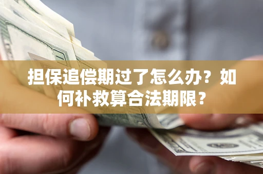 济南担保追偿期过了怎么办？如何补救算合法期限？