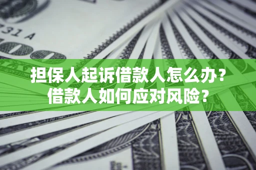 济南担保人起诉借款人怎么办？借款人如何应对风险？