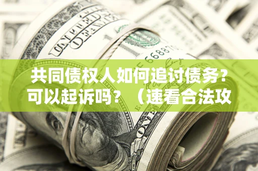 济南共同债权人如何追讨债务？可以起诉吗？（速看合法攻略）