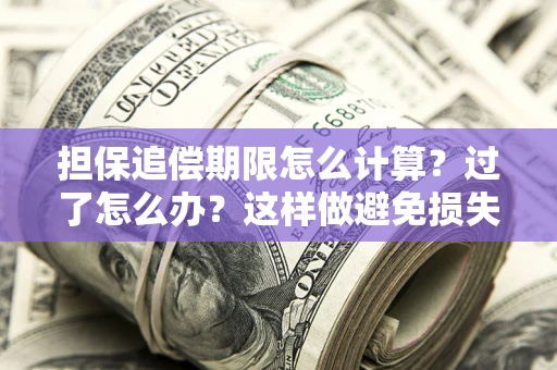 济南担保追偿期限怎么计算？过了怎么办？这样做避免损失！